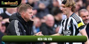 Kèo Tài Xỉu Và 3 Quy Luật Bất Biến Để Làm Chủ Bảng Điện Tử