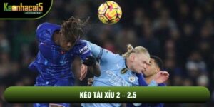 Kèo Tài Xỉu 2 – 2.5 - Chiến Thuật Đọc Vị Từ Giới Lão Luyện
