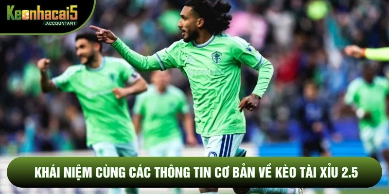 Khái niệm cùng các thông tin cơ bản về kèo tài xỉu 2.5