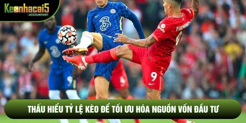 Thấu hiểu tỷ lệ kèo để tối ưu hóa nguồn vốn đầu tư